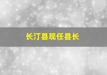 长汀县现任县长