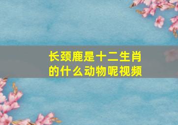 长颈鹿是十二生肖的什么动物呢视频