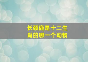 长颈鹿是十二生肖的哪一个动物