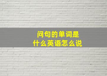 问句的单词是什么英语怎么说