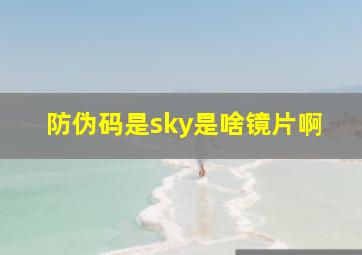 防伪码是sky是啥镜片啊