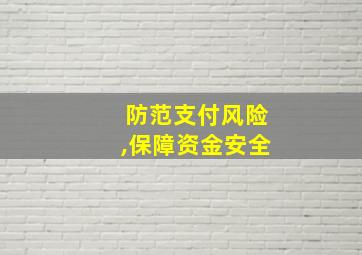 防范支付风险,保障资金安全