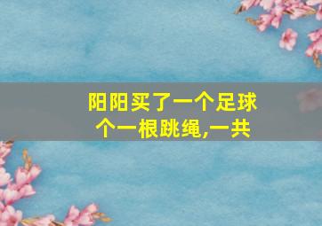 阳阳买了一个足球个一根跳绳,一共