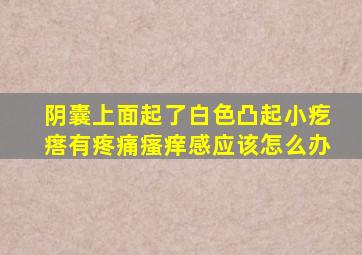 阴囊上面起了白色凸起小疙瘩有疼痛瘙痒感应该怎么办