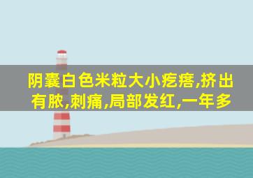 阴囊白色米粒大小疙瘩,挤出有脓,刺痛,局部发红,一年多