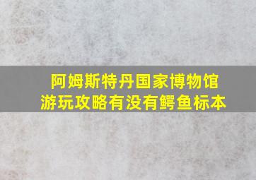 阿姆斯特丹国家博物馆游玩攻略有没有鳄鱼标本