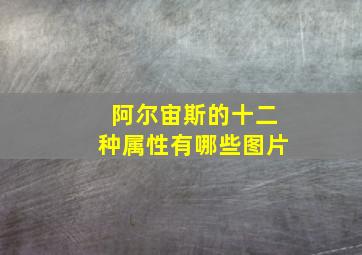 阿尔宙斯的十二种属性有哪些图片