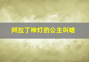 阿拉丁神灯的公主叫啥