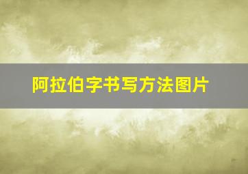 阿拉伯字书写方法图片