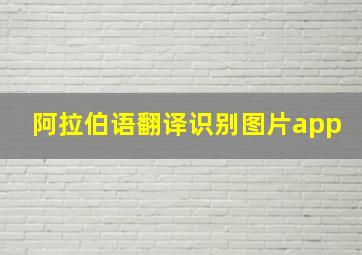 阿拉伯语翻译识别图片app