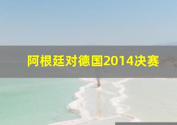 阿根廷对德国2014决赛