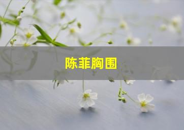 陈菲胸围