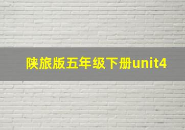 陕旅版五年级下册unit4