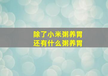 除了小米粥养胃还有什么粥养胃