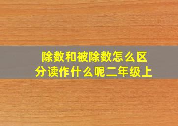 除数和被除数怎么区分读作什么呢二年级上