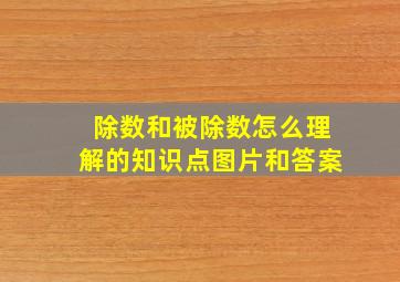 除数和被除数怎么理解的知识点图片和答案