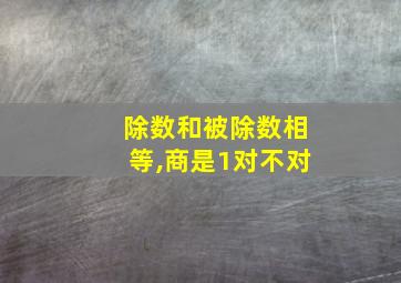 除数和被除数相等,商是1对不对