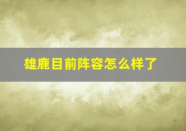 雄鹿目前阵容怎么样了