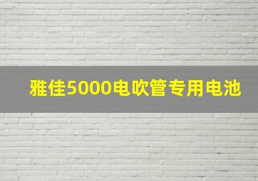 雅佳5000电吹管专用电池