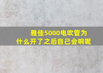 雅佳5000电吹管为什么开了之后自己会响呢