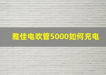 雅佳电吹管5000如何充电