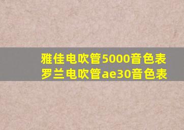 雅佳电吹管5000音色表罗兰电吹管ae30音色表