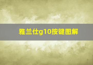 雅兰仕g10按键图解