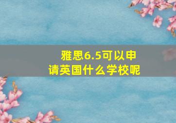 雅思6.5可以申请英国什么学校呢