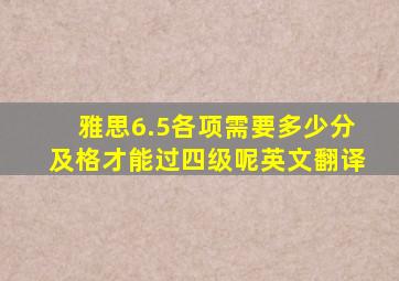 雅思6.5各项需要多少分及格才能过四级呢英文翻译