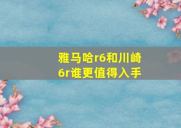 雅马哈r6和川崎6r谁更值得入手