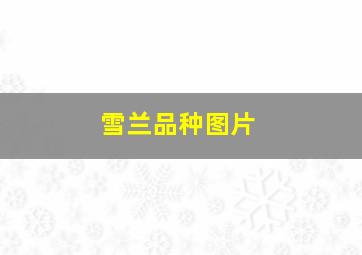 雪兰品种图片