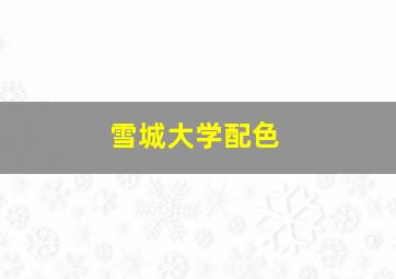 雪城大学配色