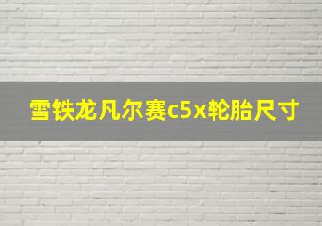 雪铁龙凡尔赛c5x轮胎尺寸