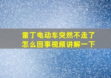 雷丁电动车突然不走了怎么回事视频讲解一下