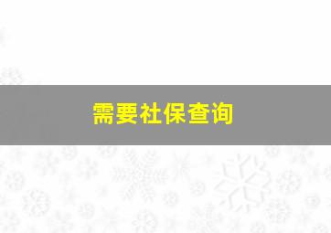 需要社保查询