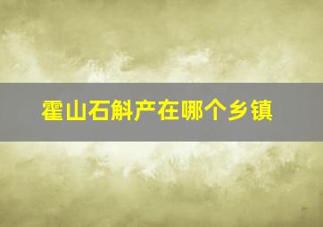 霍山石斛产在哪个乡镇