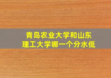 青岛农业大学和山东理工大学哪一个分水低