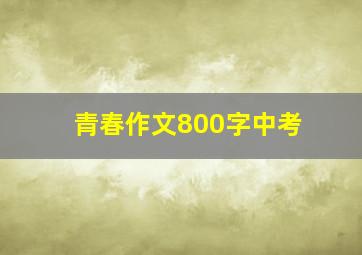 青春作文800字中考