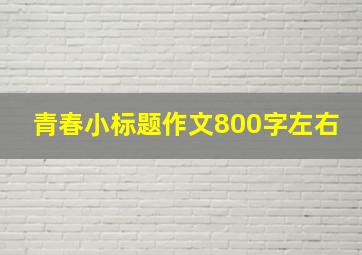 青春小标题作文800字左右