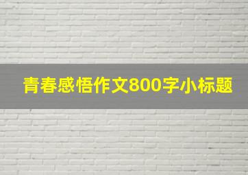 青春感悟作文800字小标题