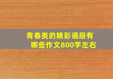 青春类的精彩语段有哪些作文800字左右