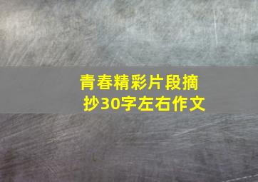 青春精彩片段摘抄30字左右作文