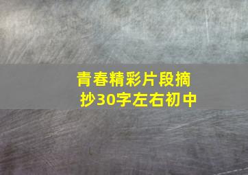 青春精彩片段摘抄30字左右初中