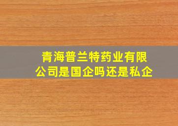 青海普兰特药业有限公司是国企吗还是私企