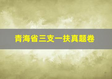 青海省三支一扶真题卷