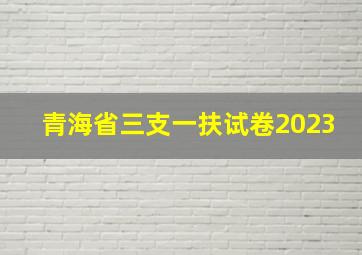 青海省三支一扶试卷2023