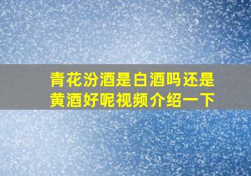 青花汾酒是白酒吗还是黄酒好呢视频介绍一下