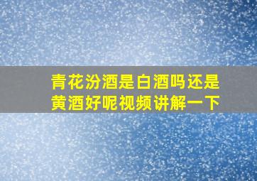 青花汾酒是白酒吗还是黄酒好呢视频讲解一下