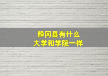 静冈县有什么大学和学院一样