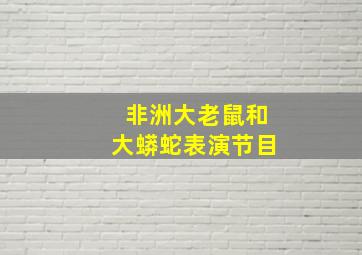 非洲大老鼠和大蟒蛇表演节目